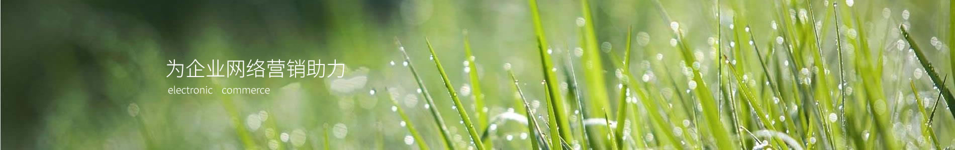 Ӣݹ̻е豸޹˾